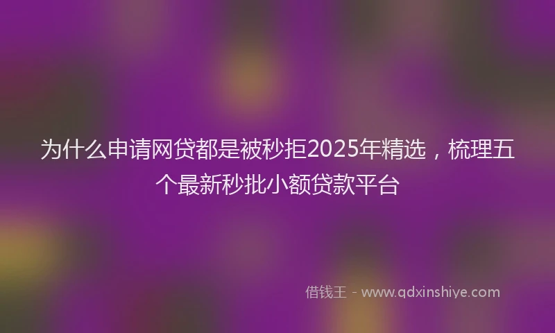 为什么申请网贷都是被秒拒2025年精选，梳理五个最新秒批小额贷款平台