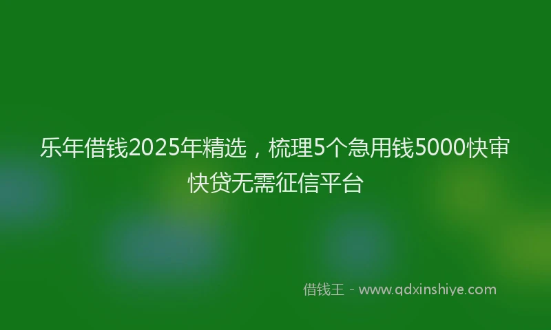 乐年借钱2025年精选，梳理5个急用钱5000快审快贷无需征信平台