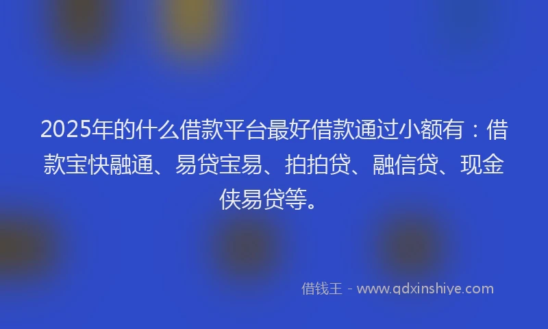 2025年的什么借款平台最好借款通过小额有：借款宝快融通、易贷宝易、拍拍贷、融信贷、现金侠易贷等。