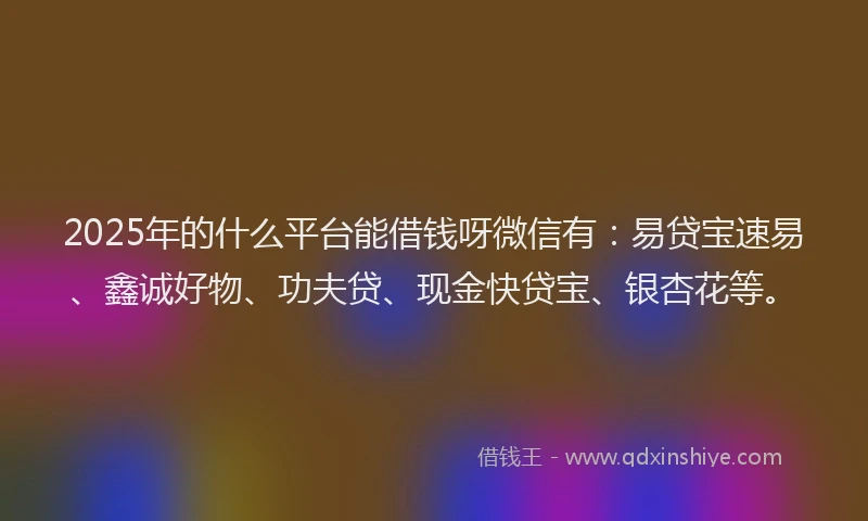2025年的什么平台能借钱呀微信有：易贷宝速易、鑫诚好物、功夫贷、现金快贷宝、银杏花等。