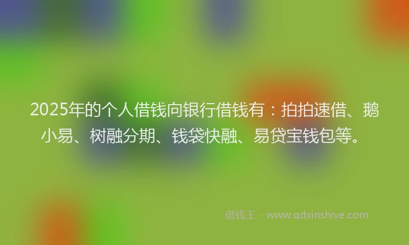 2025年的个人借钱向银行借钱有：拍拍速借、鹅小易、树融分期、钱袋快融、易贷宝钱包等。