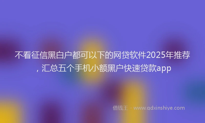 不看征信黑白户都可以下的网贷软件2025年推荐，汇总五个手机小额黑户快速贷款app