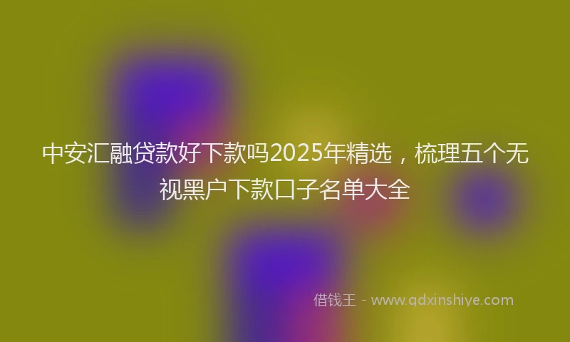 中安汇融贷款好下款吗2025年精选，梳理五个无视黑户下款口子名单大全