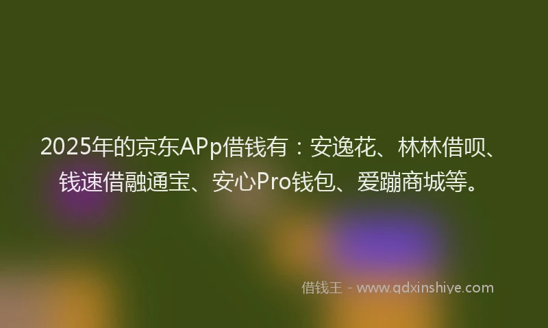 2025年的京东APp借钱有：安逸花、林林借呗、钱速借融通宝、安心Pro钱包、爱蹦商城等。
