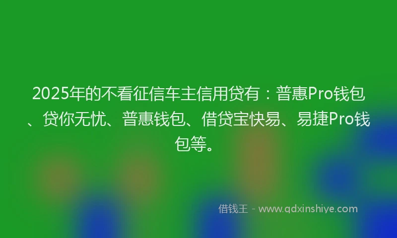 2025年的不看征信车主信用贷有：普惠Pro钱包、贷你无忧、普惠钱包、借贷宝快易、易捷Pro钱包等。