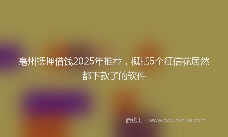 亳州抵押借钱2025年推荐，概括5个征信花居然都下款了的软件