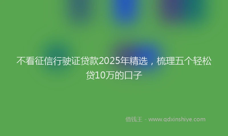 不看征信行驶证贷款2025年精选，梳理五个轻松贷10万的口子