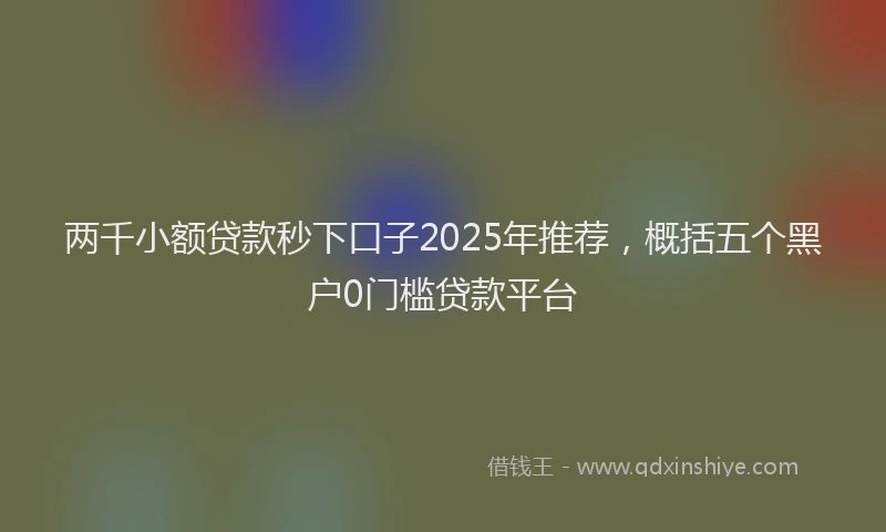 两千小额贷款秒下口子2025年推荐，概括五个黑户0门槛贷款平台