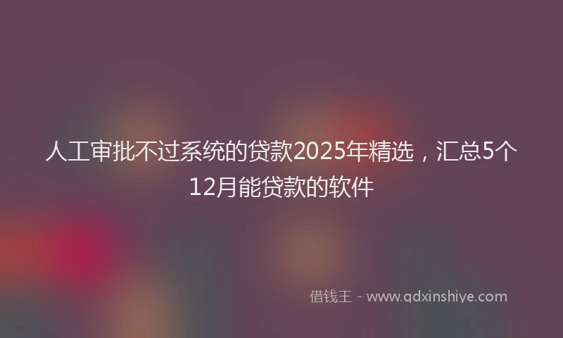 人工审批不过系统的贷款2025年精选，汇总5个12月能贷款的软件