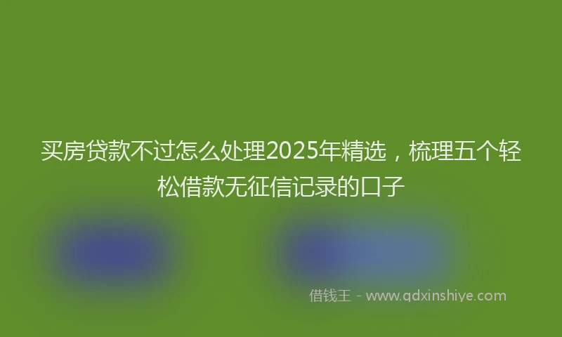 买房贷款不过怎么处理2025年精选，梳理五个轻松借款无征信记录的口子