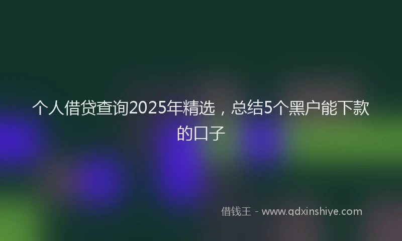 个人借贷查询2025年精选，总结5个黑户能下款的口子