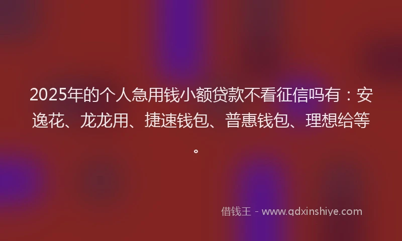 2025年的个人急用钱小额贷款不看征信吗有：安逸花、龙龙用、捷速钱包、普惠钱包、理想给等。