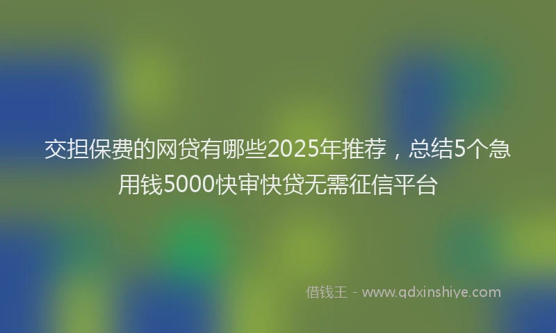 交担保费的网贷有哪些2025年推荐，总结5个急用钱5000快审快贷无需征信平台