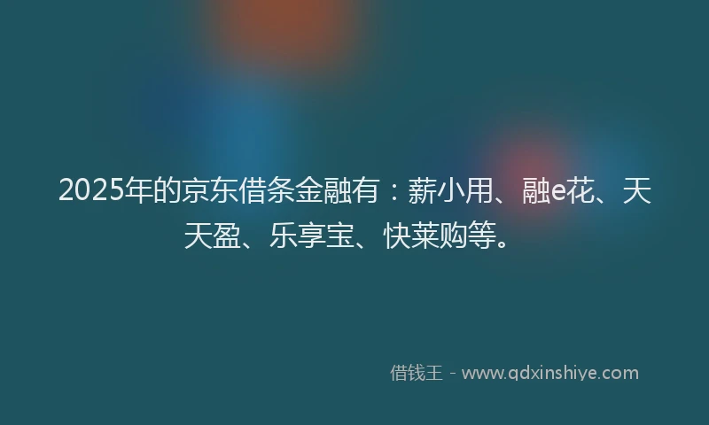 2025年的京东借条金融有：薪小用、融e花、天天盈、乐享宝、快莱购等。