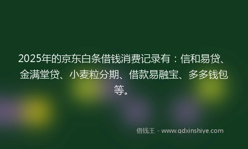 2025年的京东白条借钱消费记录有：信和易贷、金满堂贷、小麦粒分期、借款易融宝、多多钱包等。
