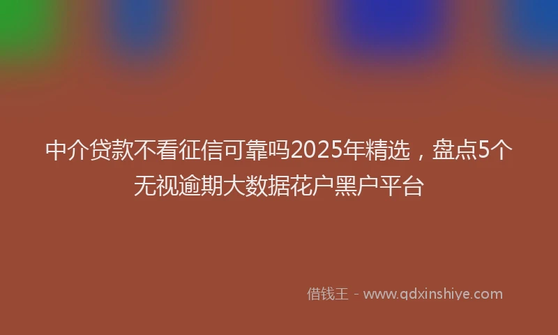 中介贷款不看征信可靠吗2025年精选，盘点5个无视逾期大数据花户黑户平台