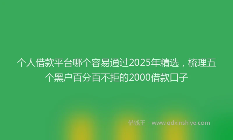 个人借款平台哪个容易通过2025年精选，梳理五个黑户百分百不拒的2000借款口子