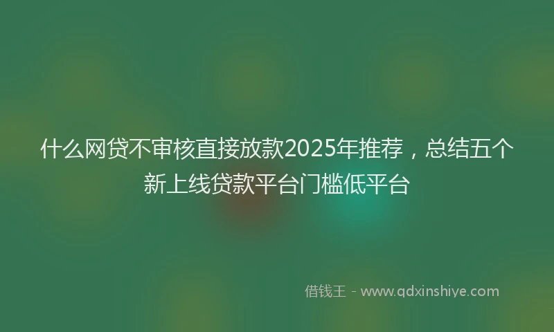 什么网贷不审核直接放款2025年推荐，总结五个新上线贷款平台门槛低平台
