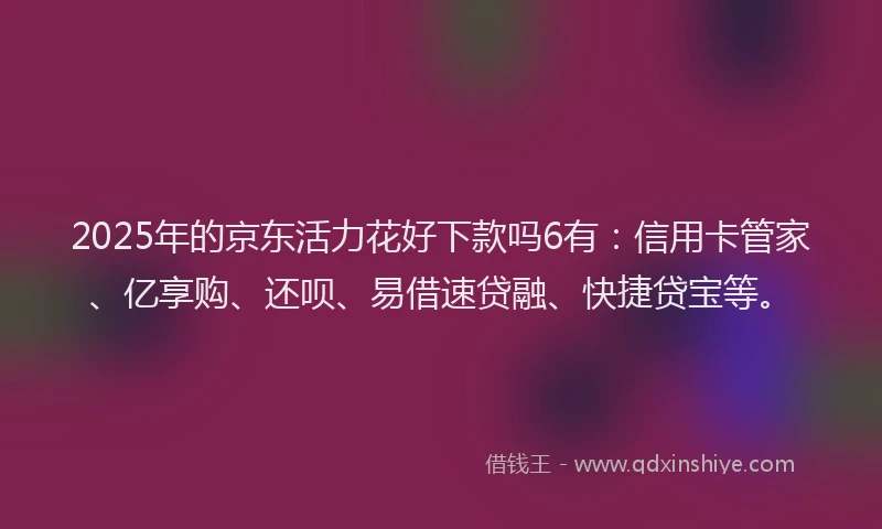 2025年的京东活力花好下款吗6有：信用卡管家、亿享购、还呗、易借速贷融、快捷贷宝等。