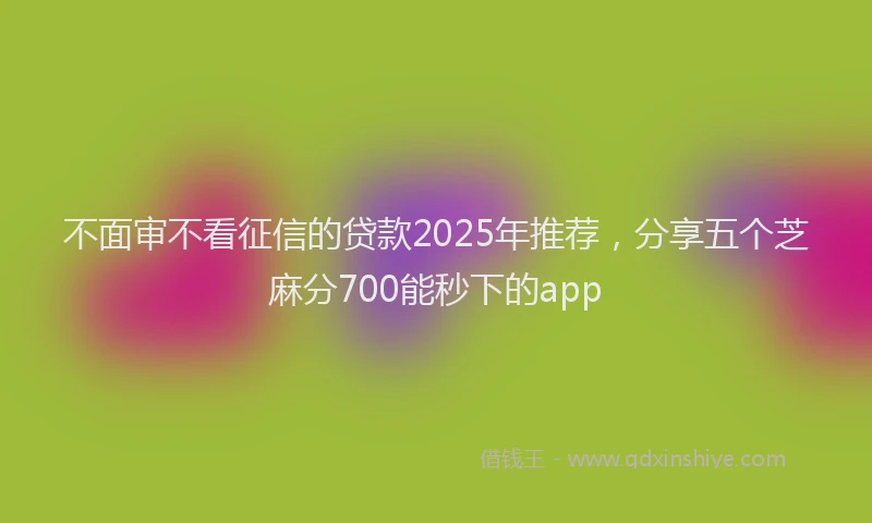 不面审不看征信的贷款2025年推荐，分享五个芝麻分700能秒下的app