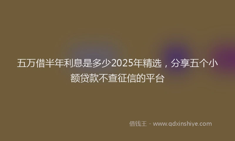 五万借半年利息是多少2025年精选，分享五个小额贷款不查征信的平台