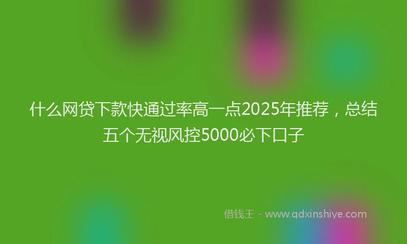 什么网贷下款快通过率高一点2025年推荐，总结五个无视风控5000必下口子