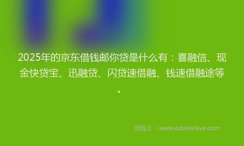 2025年的京东借钱邮你贷是什么有：喜融信、现金快贷宝、迅融贷、闪贷速借融、钱速借融途等。