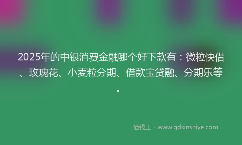 2025年的中银消费金融哪个好下款有：微粒快借、玫瑰花、小麦粒分期、借款宝贷融、分期乐等。