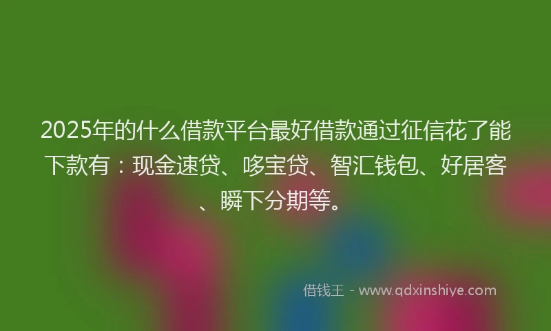 2025年的什么借款平台最好借款通过征信花了能下款有：现金速贷、哆宝贷、智汇钱包、好居客、瞬下分期等。
