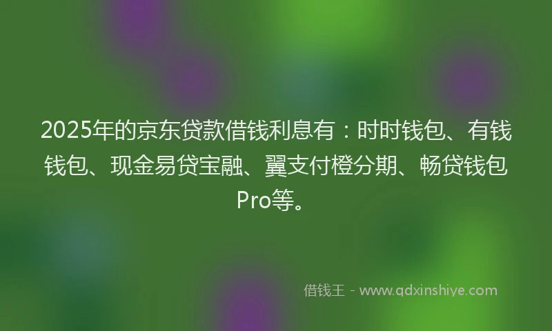2025年的京东贷款借钱利息有：时时钱包、有钱钱包、现金易贷宝融、翼支付橙分期、畅贷钱包Pro等。