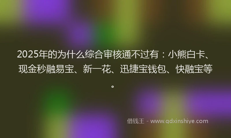 2025年的为什么综合审核通不过有：小熊白卡、现金秒融易宝、新一花、迅捷宝钱包、快融宝等。