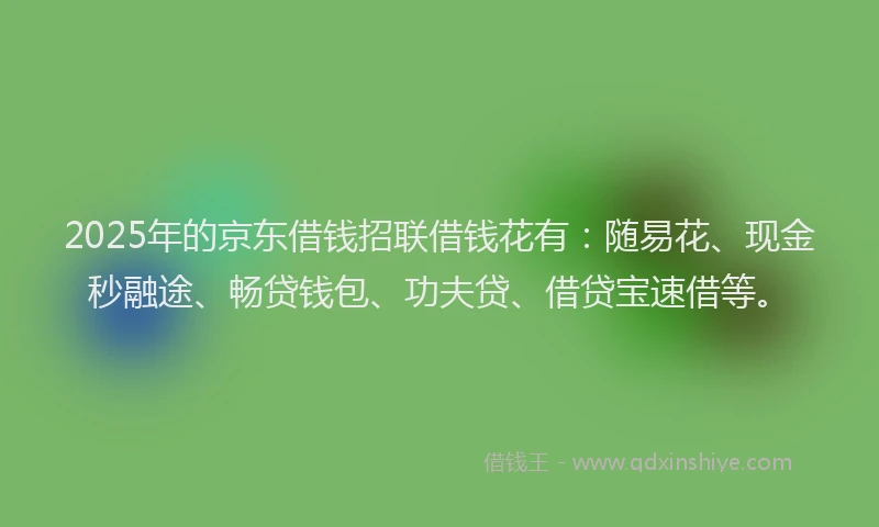 2025年的京东借钱招联借钱花有：随易花、现金秒融途、畅贷钱包、功夫贷、借贷宝速借等。