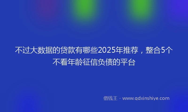 不过大数据的贷款有哪些2025年推荐，整合5个不看年龄征信负债的平台