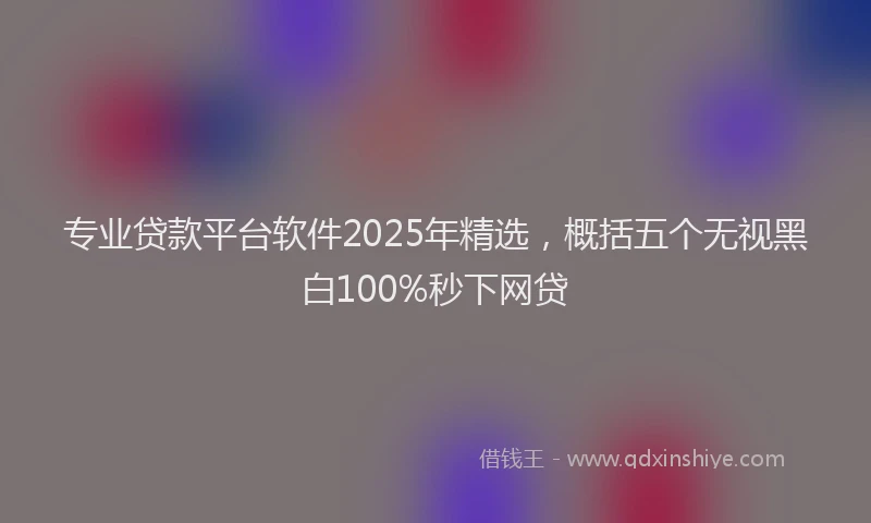 专业贷款平台软件2025年精选，概括五个无视黑白100%秒下网贷