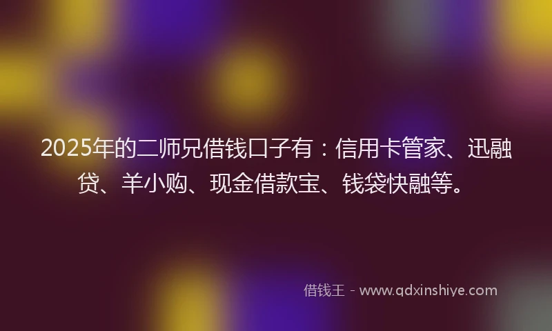 2025年的二师兄借钱口子有：信用卡管家、迅融贷、羊小购、现金借款宝、钱袋快融等。