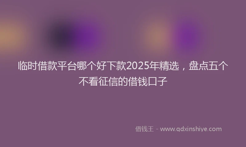 临时借款平台哪个好下款2025年精选，盘点五个不看征信的借钱口子