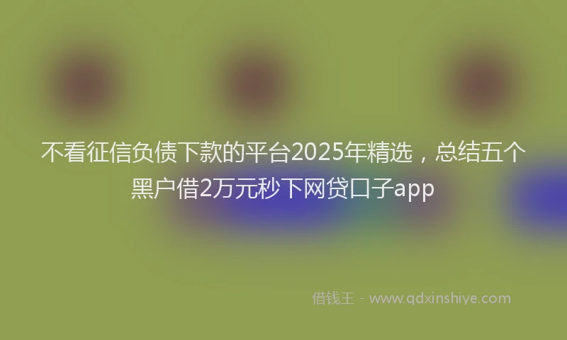 不看征信负债下款的平台2025年精选，总结五个黑户借2万元秒下网贷口子app