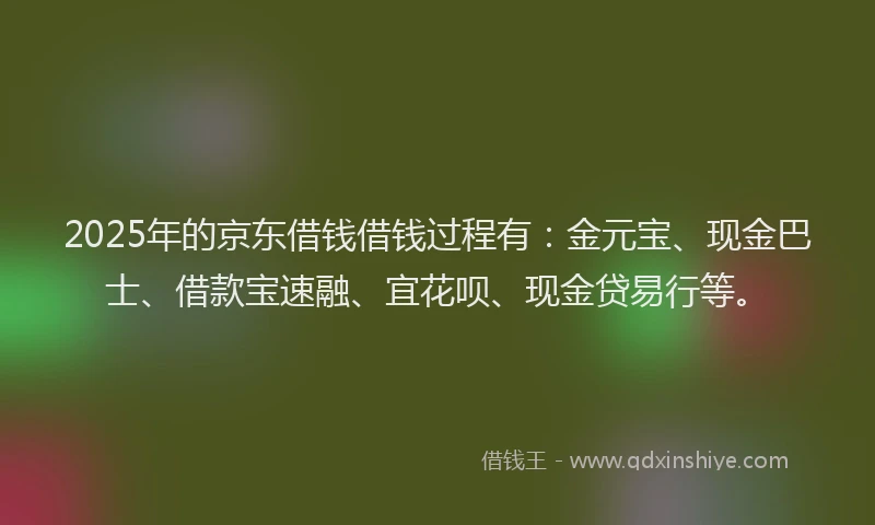 2025年的京东借钱借钱过程有：金元宝、现金巴士、借款宝速融、宜花呗、现金贷易行等。