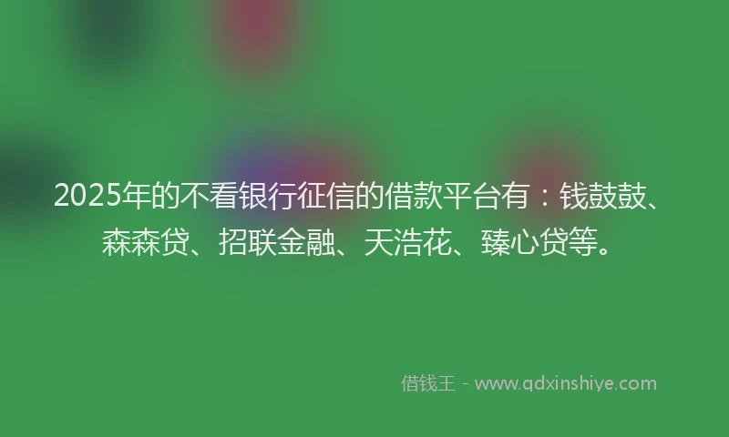 2025年的不看银行征信的借款平台有：钱鼓鼓、森森贷、招联金融、天浩花、臻心贷等。