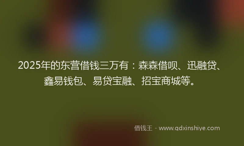 2025年的东营借钱三万有：森森借呗、迅融贷、鑫易钱包、易贷宝融、招宝商城等。