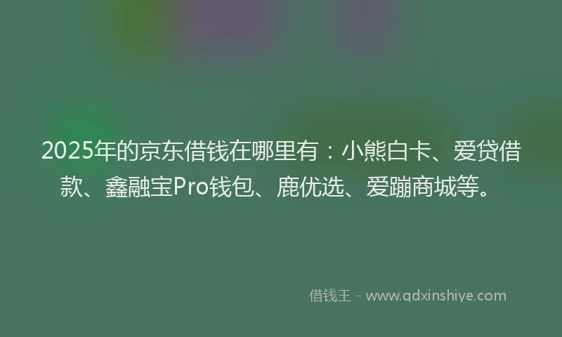 2025年的京东借钱在哪里有：小熊白卡、爱贷借款、鑫融宝Pro钱包、鹿优选、爱蹦商城等。