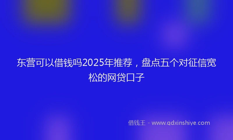 东营可以借钱吗2025年推荐，盘点五个对征信宽松的网贷口子