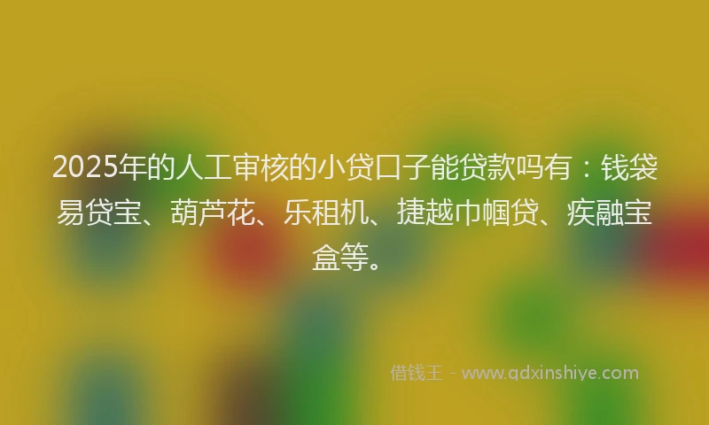 2025年的人工审核的小贷口子能贷款吗有：钱袋易贷宝、葫芦花、乐租机、捷越巾帼贷、疾融宝盒等。