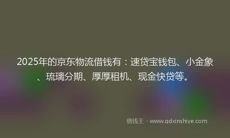 2025年的京东物流借钱有：速贷宝钱包、小金象、琉璃分期、厚厚租机、现金快贷等。
