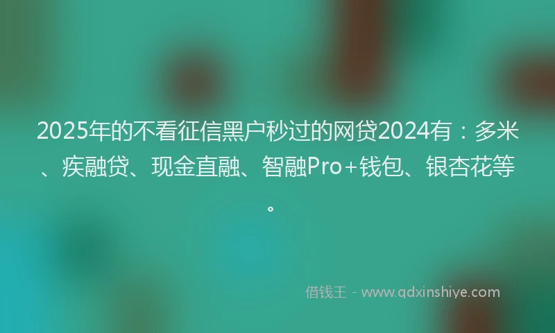 2025年的不看征信黑户秒过的网贷2024有：多米、疾融贷、现金直融、智融Pro+钱包、银杏花等。