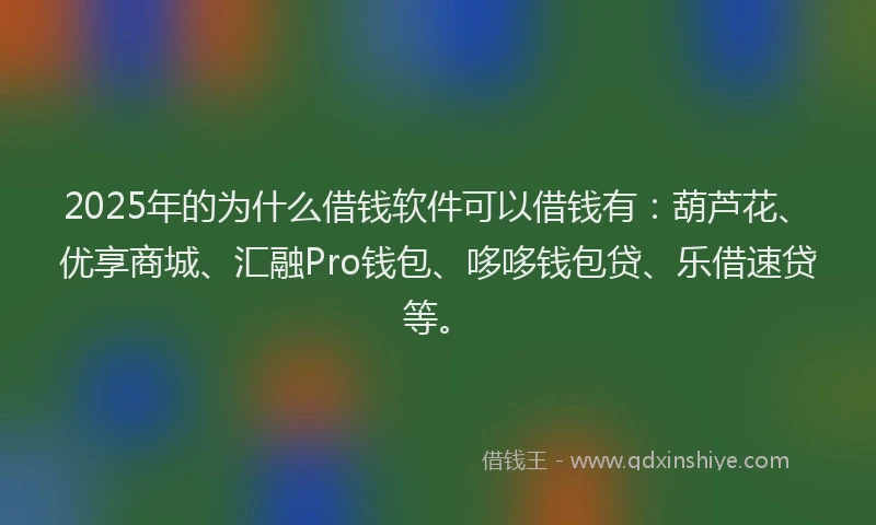 2025年的为什么借钱软件可以借钱有：葫芦花、优享商城、汇融Pro钱包、哆哆钱包贷、乐借速贷等。