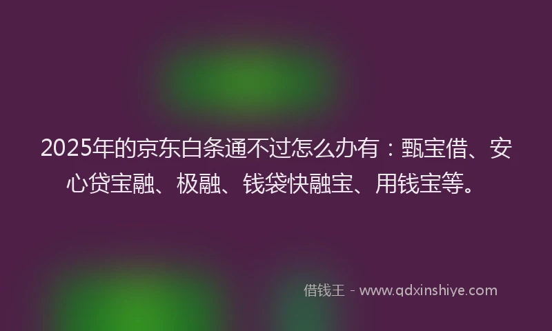 2025年的京东白条通不过怎么办有：甄宝借、安心贷宝融、极融、钱袋快融宝、用钱宝等。