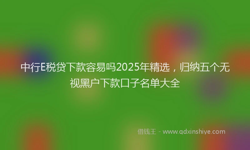 中行E税贷下款容易吗2025年精选，归纳五个无视黑户下款口子名单大全