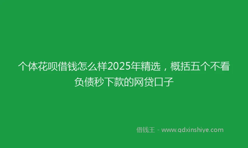 个体花呗借钱怎么样2025年精选，概括五个不看负债秒下款的网贷口子