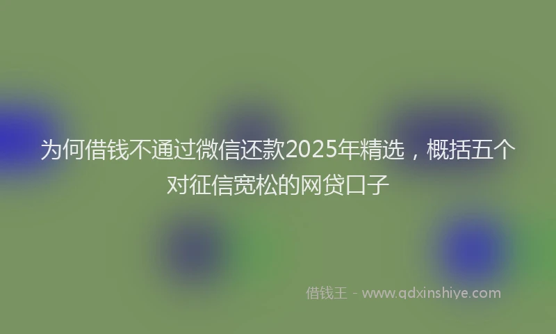 为何借钱不通过微信还款2025年精选，概括五个对征信宽松的网贷口子